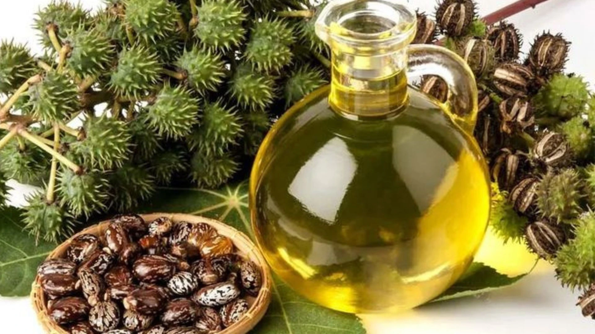 Using Castor Oil to Remove Skin Tags: The Ultimate Guide